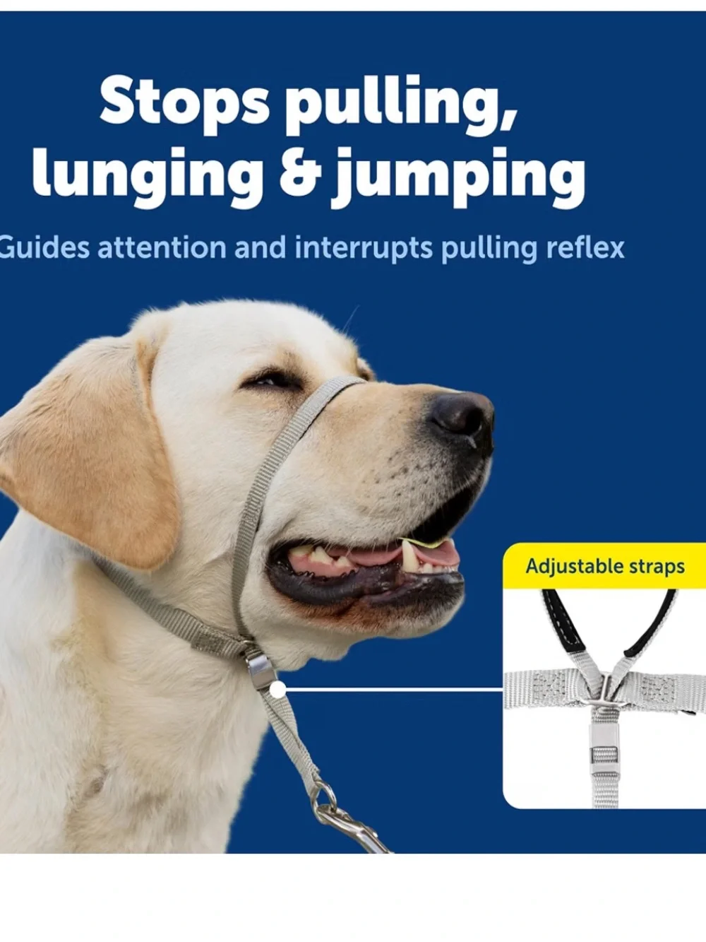 PetSafe gentle leader